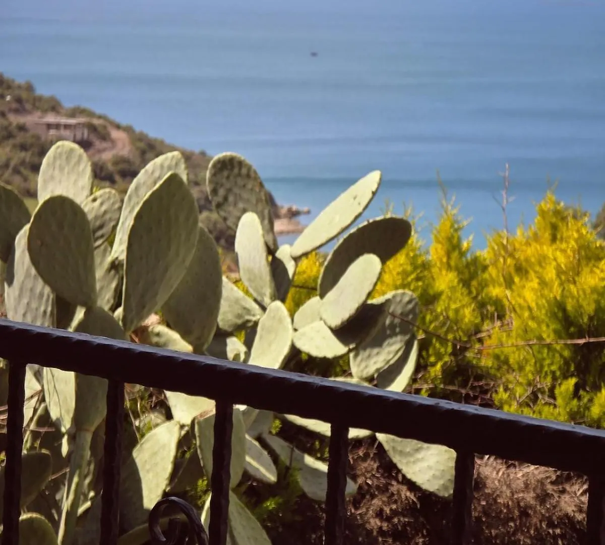 Sevinc Akasya Luxury Villa Milas