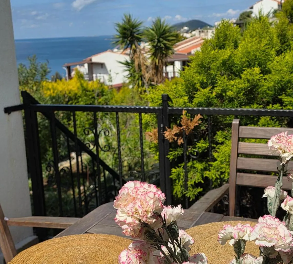 Sevinc Akasya Luxury Villa Milas 0*,